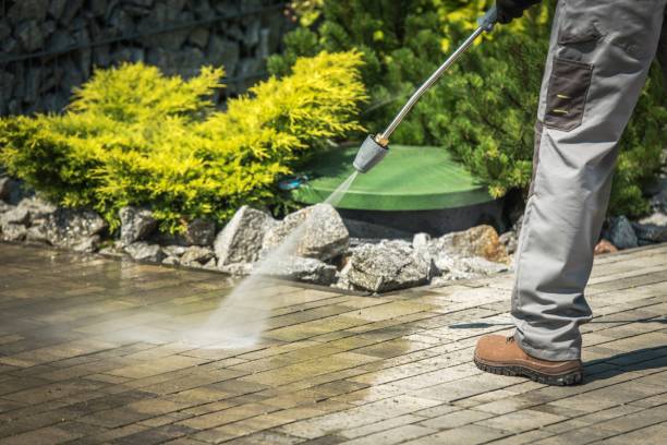 Best Driveway Cleaning and Restoration in Louisville, GA